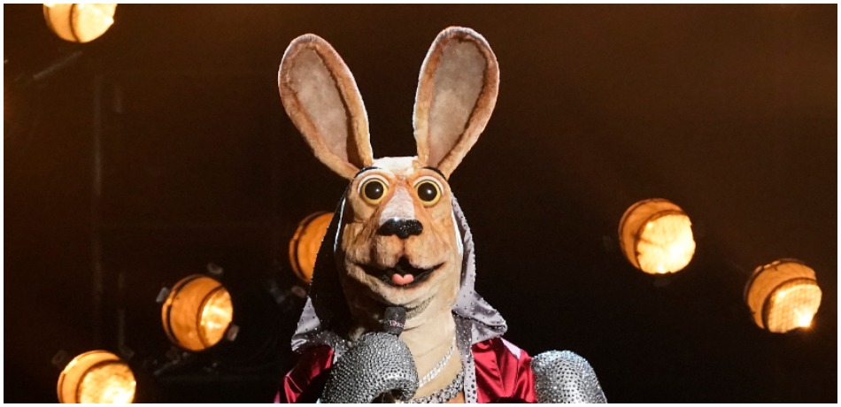 The Masked Singer's Kangaroo