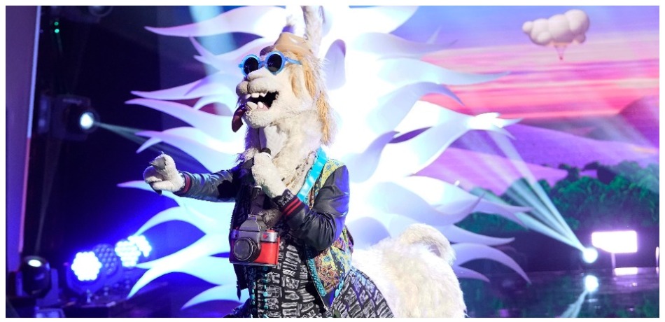 masked singer llama