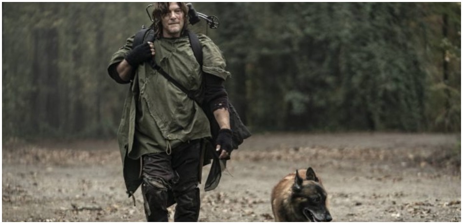 Norman Reedus as Daryl Dixon on The Walking Dead