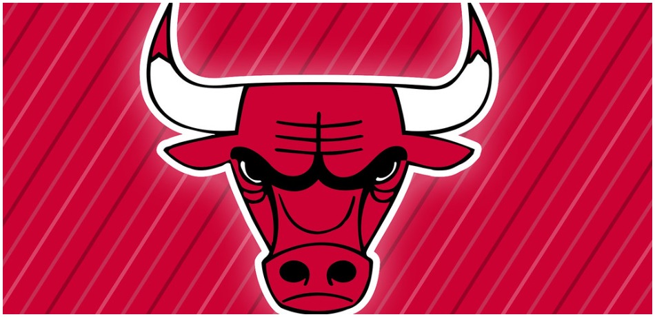 Chicago Bulls logo