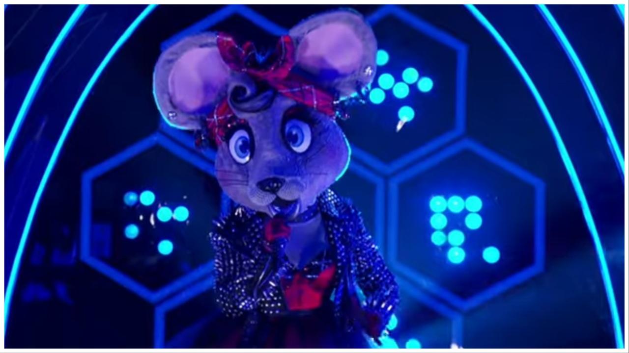 the masked singer anonymous