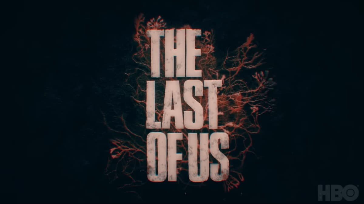 Max's The Last Of Us